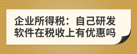 企業(yè)所得稅：自己研發(fā)軟件在稅收上有優(yōu)惠嗎