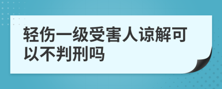 輕傷一級受害人諒解可以不判刑嗎