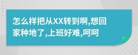 怎么樣把從XX轉(zhuǎn)到啊,想回家種地了,上班好難,呵呵