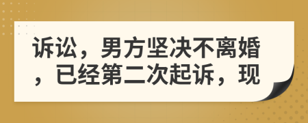 訴訟，男方堅(jiān)決不離婚，已經(jīng)第二次起訴，現(xiàn)
