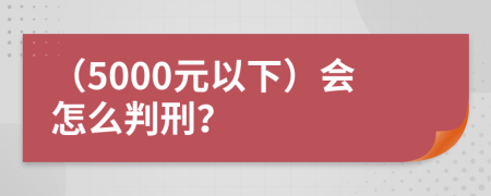 （5000元以下）會怎么判刑？