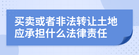 買賣或者非法轉(zhuǎn)讓土地應(yīng)承擔(dān)什么法律責(zé)任