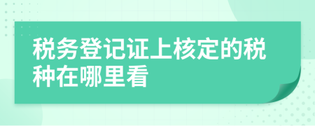 稅務(wù)登記證上核定的稅種在哪里看