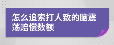 怎么追索打人致的腦震蕩賠償數(shù)額