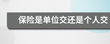 保險是單位交還是個人交