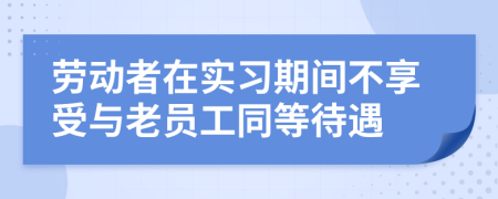 勞動者在實(shí)習(xí)期間不享受與老員工同等待遇