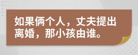 如果倆個(gè)人，丈夫提出離婚，那小孩由誰。