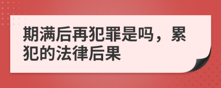 期滿后再犯罪是嗎，累犯的法律后果