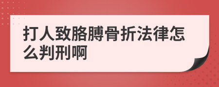 打人致胳膊骨折法律怎么判刑啊