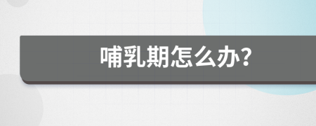 哺乳期怎么辦？