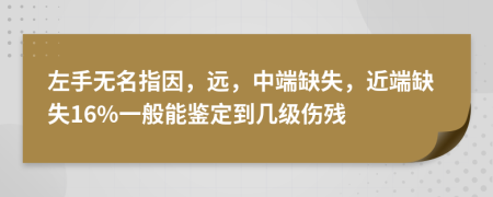 左手無名指因，遠(yuǎn)，中端缺失，近端缺失16%一般能鑒定到幾級傷殘