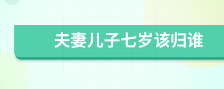 夫妻兒子七歲該歸誰(shuí)