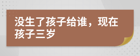 沒生了孩子給誰(shuí)，現(xiàn)在孩子三歲