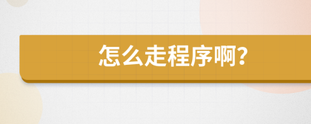 怎么走程序??？