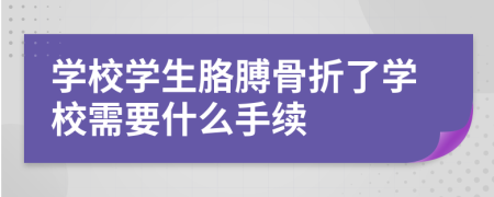 學校學生胳膊骨折了學校需要什么手續(xù)