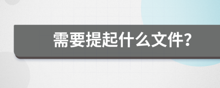 需要提起什么文件？