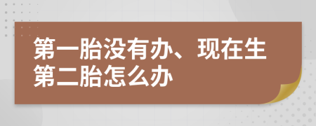 第一胎沒有辦、現(xiàn)在生第二胎怎么辦