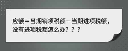 應(yīng)額＝當期銷項稅額－當期進項稅額，沒有進項稅額怎么辦？？？