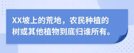 XX坡上的荒地，農(nóng)民種植的樹(shù)或其他植物到底歸誰(shuí)所有。
