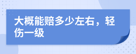 大概能賠多少左右，輕傷一級(jí)