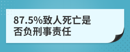 87.5%致人死亡是否負(fù)刑事責(zé)任