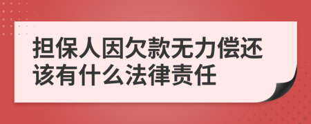 擔(dān)保人因欠款無力償還該有什么法律責(zé)任