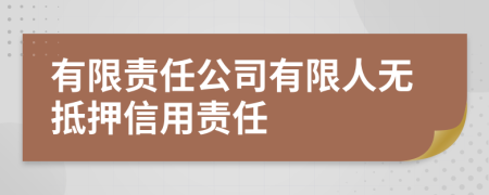 有限責(zé)任公司有限人無(wú)抵押信用責(zé)任