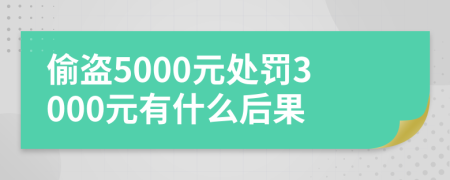 偷盜5000元處罰3000元有什么后果