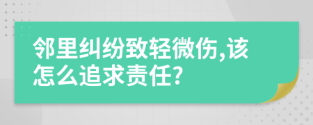 鄰里糾紛致輕微傷,該怎么追求責(zé)任?