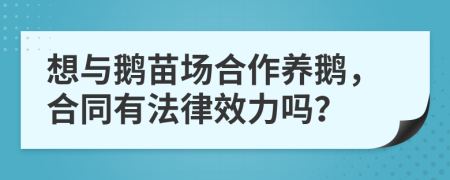 想與鵝苗場合作養(yǎng)鵝，合同有法律效力嗎？