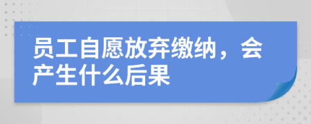 員工自愿放棄繳納，會產(chǎn)生什么后果