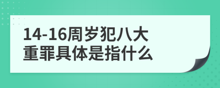 14-16周歲犯八大重罪具體是指什么