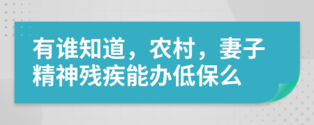 有誰(shuí)知道，農(nóng)村，妻子精神殘疾能辦低保么