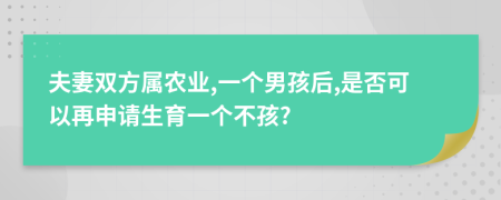 夫妻雙方屬農(nóng)業(yè),一個男孩后,是否可以再申請生育一個不孩?