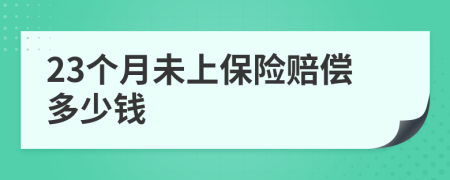 23個月未上保險賠償多少錢