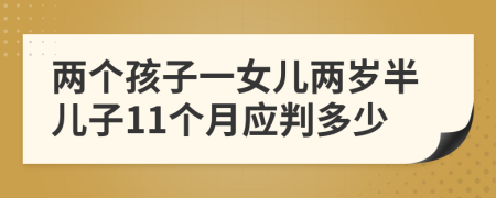 兩個孩子一女兒兩歲半兒子11個月應(yīng)判多少