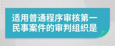 適用普通程序?qū)徍说谝幻袷掳讣膶徟薪M織是