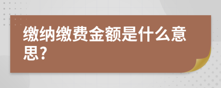 繳納繳費金額是什么意思?
