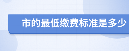 市的最低繳費(fèi)標(biāo)準(zhǔn)是多少