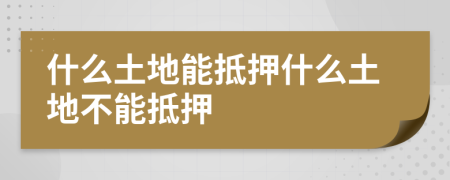 什么土地能抵押什么土地不能抵押