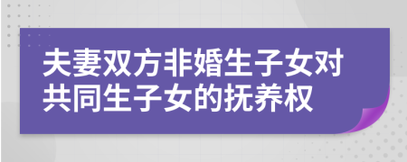 夫妻雙方非婚生子女對共同生子女的撫養(yǎng)權(quán)