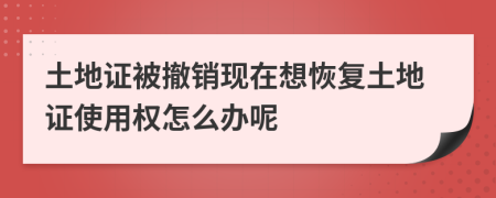土地證被撤銷現(xiàn)在想恢復(fù)土地證使用權(quán)怎么辦呢