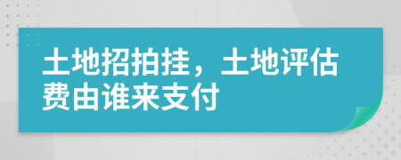 土地招拍掛，土地評估費由誰來支付