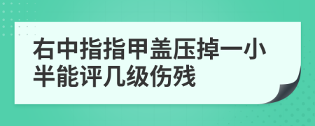 右中指指甲蓋壓掉一小半能評幾級傷殘