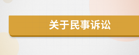 關(guān)于民事訴訟