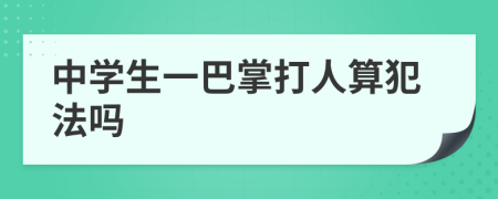 中學生一巴掌打人算犯法嗎