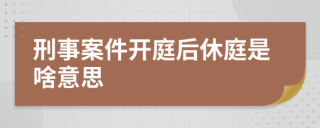 刑事案件開庭后休庭是啥意思