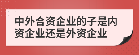 中外合資企業(yè)的子是內(nèi)資企業(yè)還是外資企業(yè)