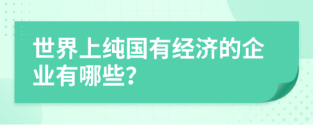世界上純國(guó)有經(jīng)濟(jì)的企業(yè)有哪些？