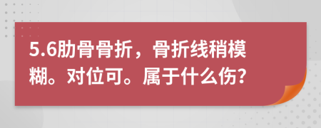5.6肋骨骨折，骨折線稍模糊。對(duì)位可。屬于什么傷？